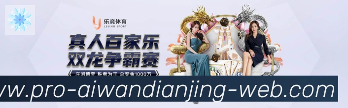 爱玩电竞荣誉